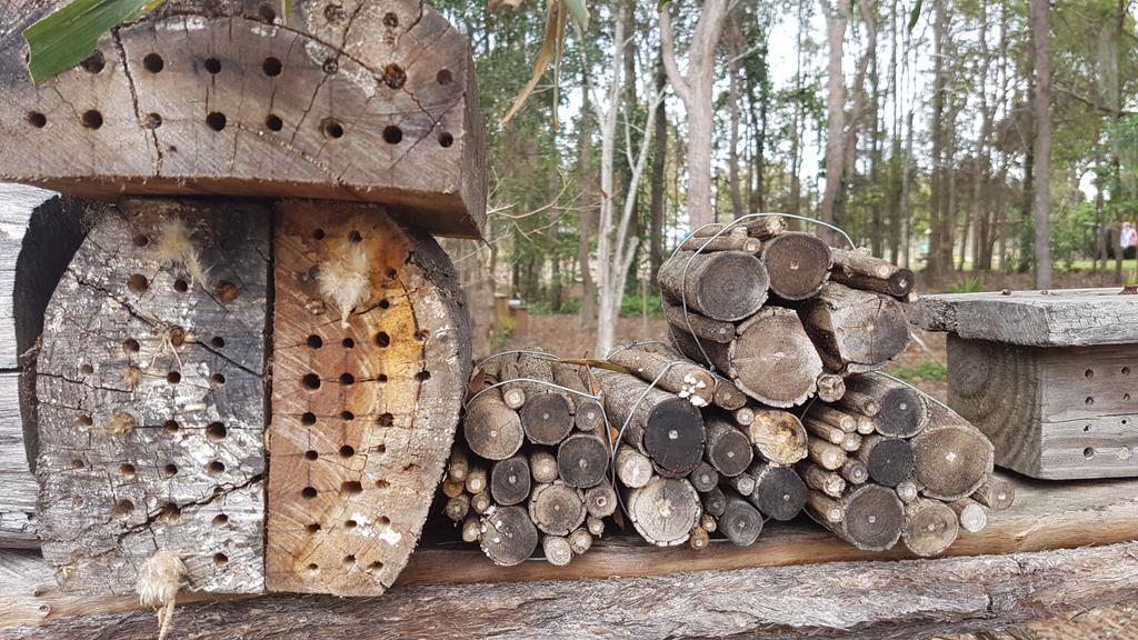 Honeybee Wellness Resort Kandanga Bagian luar foto
